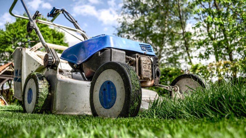 Une débroussailleuse adaptée au travaux de jardinage