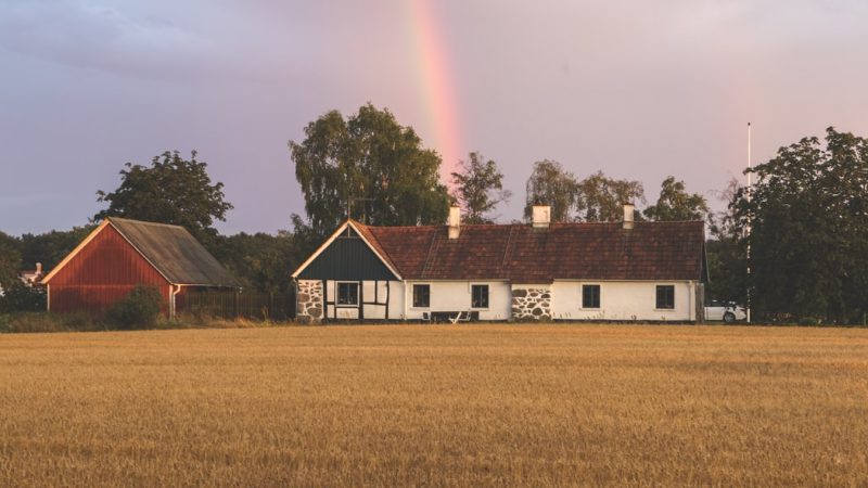 Les maisons en bois, vivre au plus près de la nature