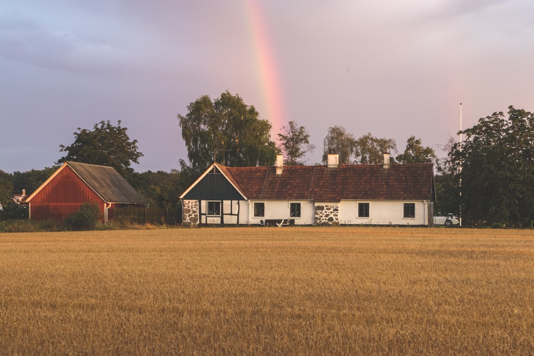 Les maisons en bois, vivre au plus près de la nature